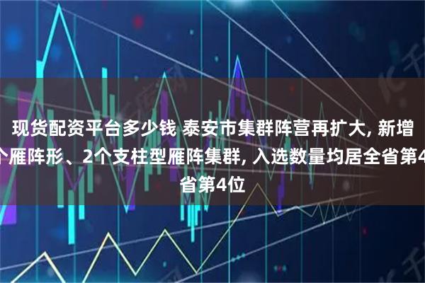 现货配资平台多少钱 泰安市集群阵营再扩大, 新增2个雁阵形、2个支柱型雁阵集群, 入选数量均居全省第4位