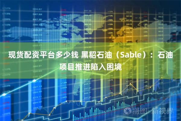 现货配资平台多少钱 黑貂石油（Sable）：石油项目推进陷入困境